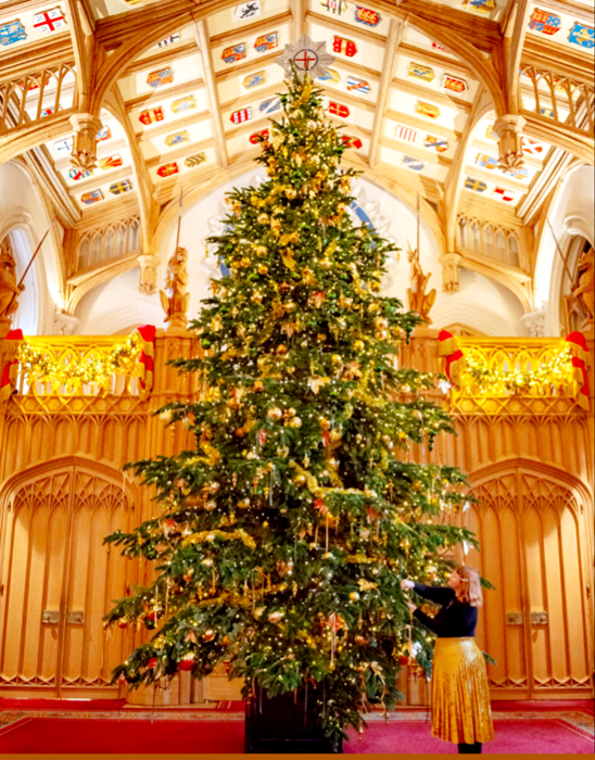 皇家收藏信託基金會的工作人員在聖喬治大廳裝飾聖誕樹。（Royal Collection Trust）